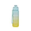 Picture of OMBRE WATER BOTTLE 750 ML , GREEN-BLUE